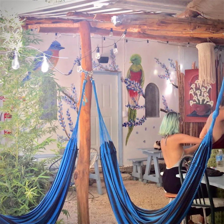 营地 巴卡拉尔 Cabanitas Y Dorms酒店