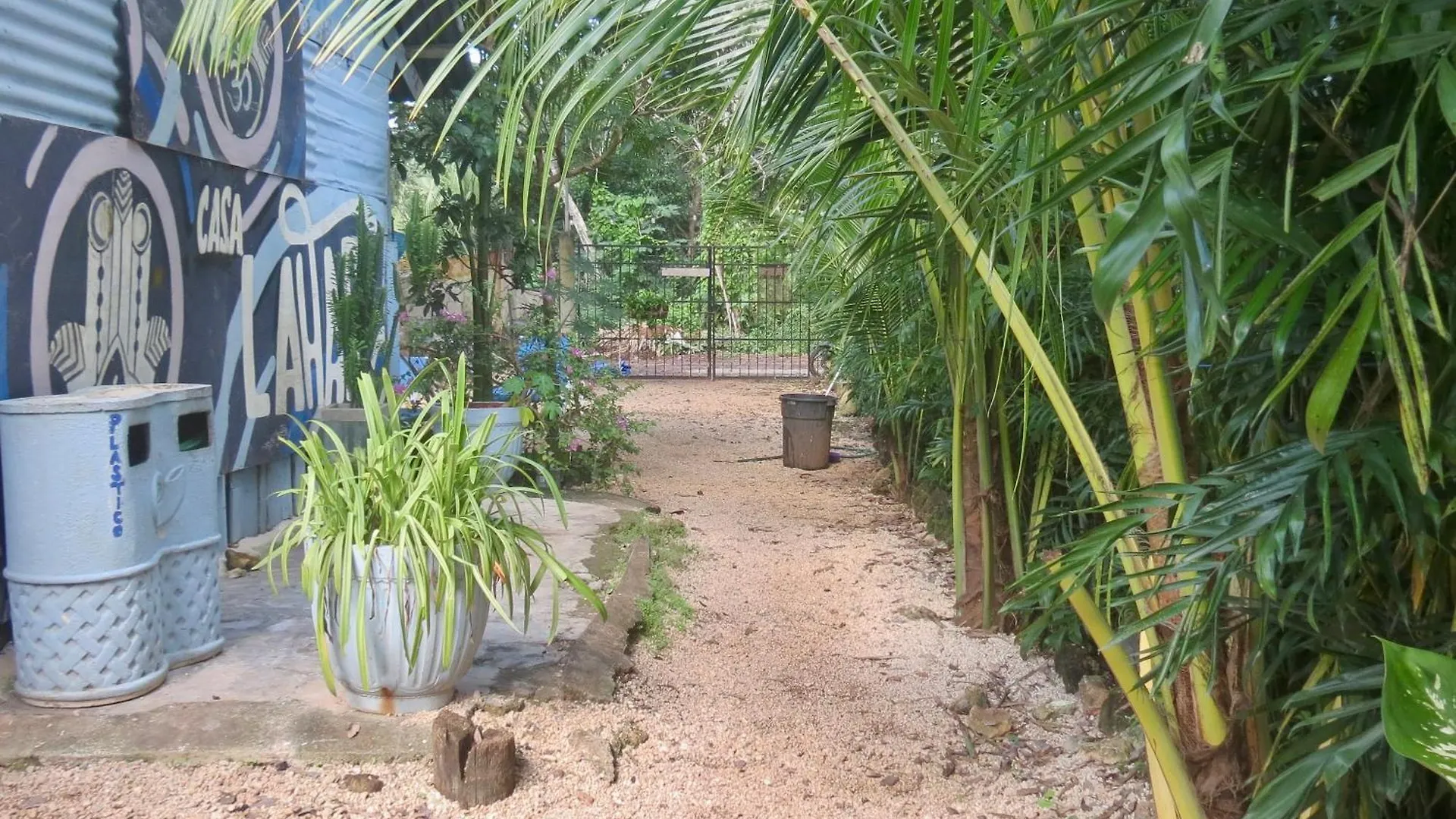 营地 巴卡拉尔 Cabanitas Y Dorms酒店 墨西哥
